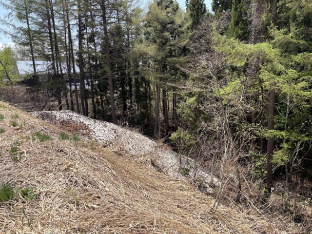 Madarao, Tangram Ridge Runner Lots