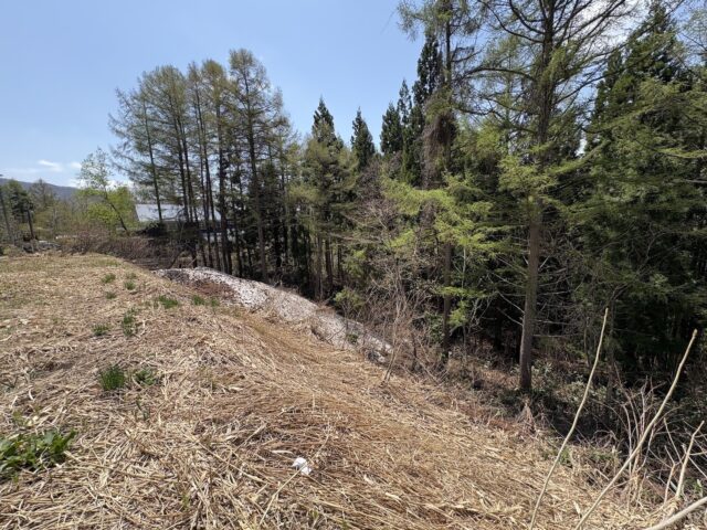 Madarao, Tangram Ridge Runner Lots