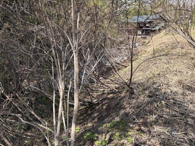 Madarao, Tangram Ridge Runner Lots