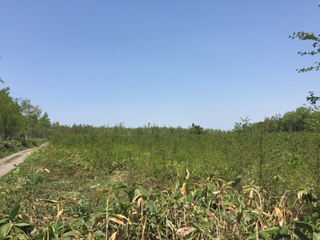 Makkari Land - Located at the base of Mt Yotei