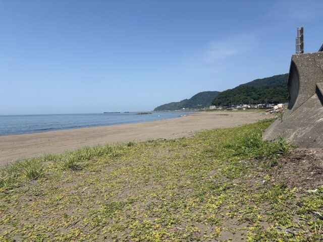 Niigata Snow Coast House
