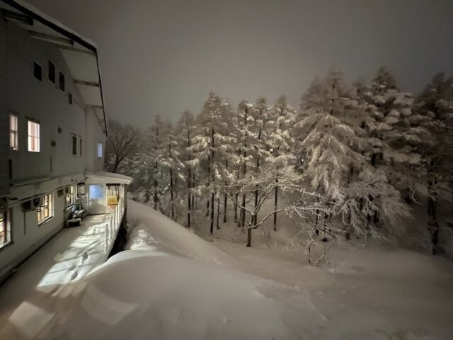 Ringo Jam Lodge - Madarao