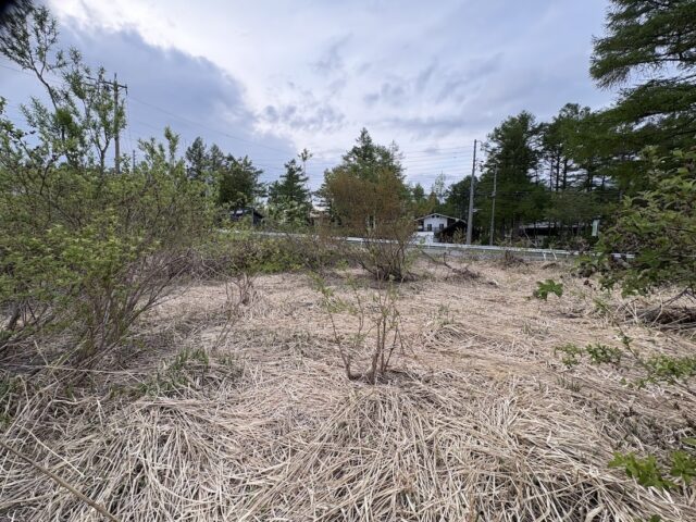 Madarao Ski Resort - Prime Development Opportunity