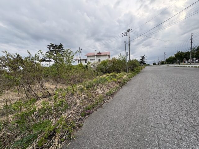 写真 2026 05 12 17 23 27