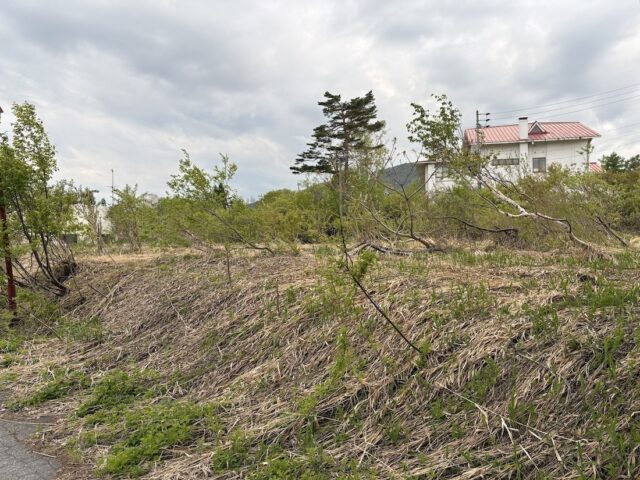 Madarao Ski Resort - Prime Development Opportunity