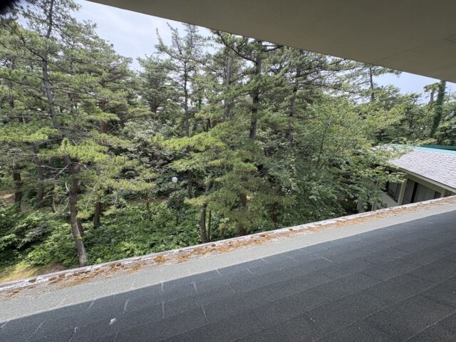 Joetsu Ocean View Onsen Hotel